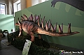 VBS_0930 - Dinosauri. Terra dei giganti